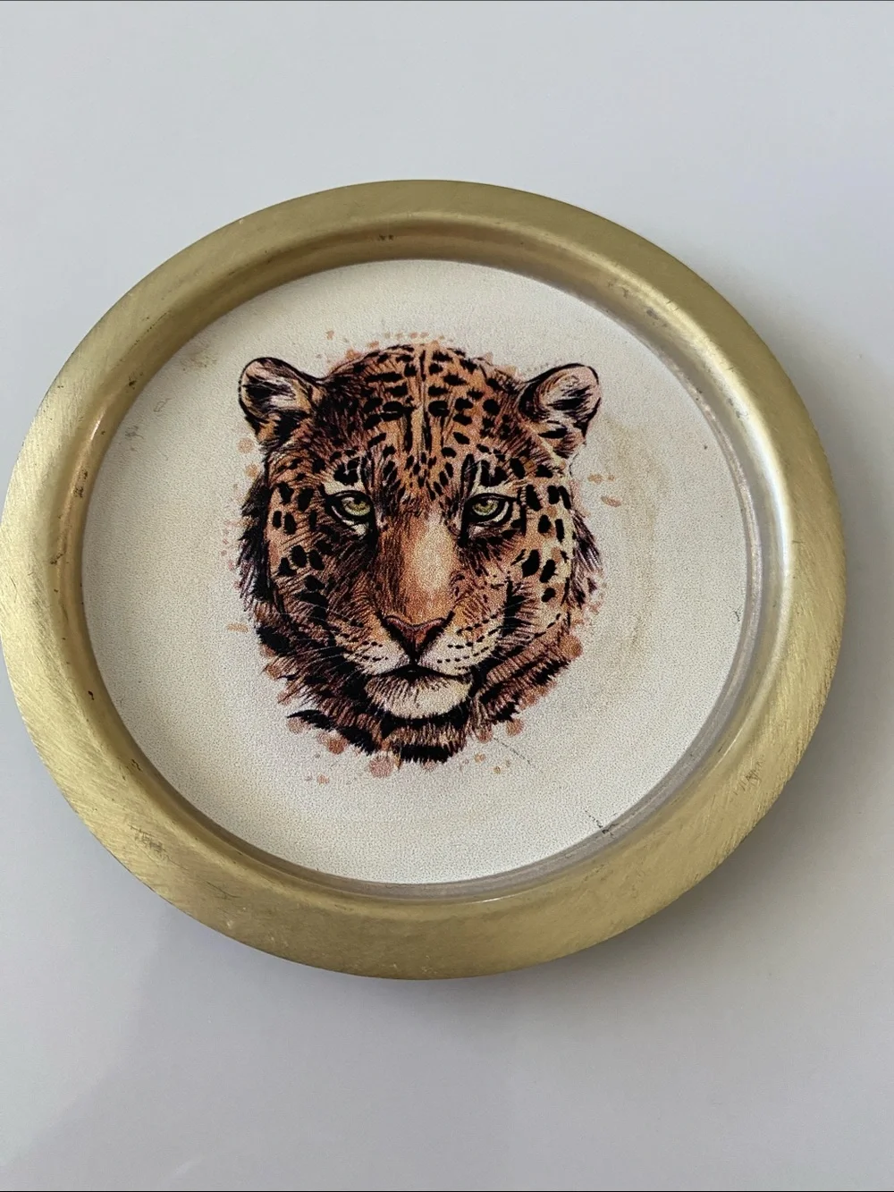 Leopard Head Decorative Coasters - Set of 4